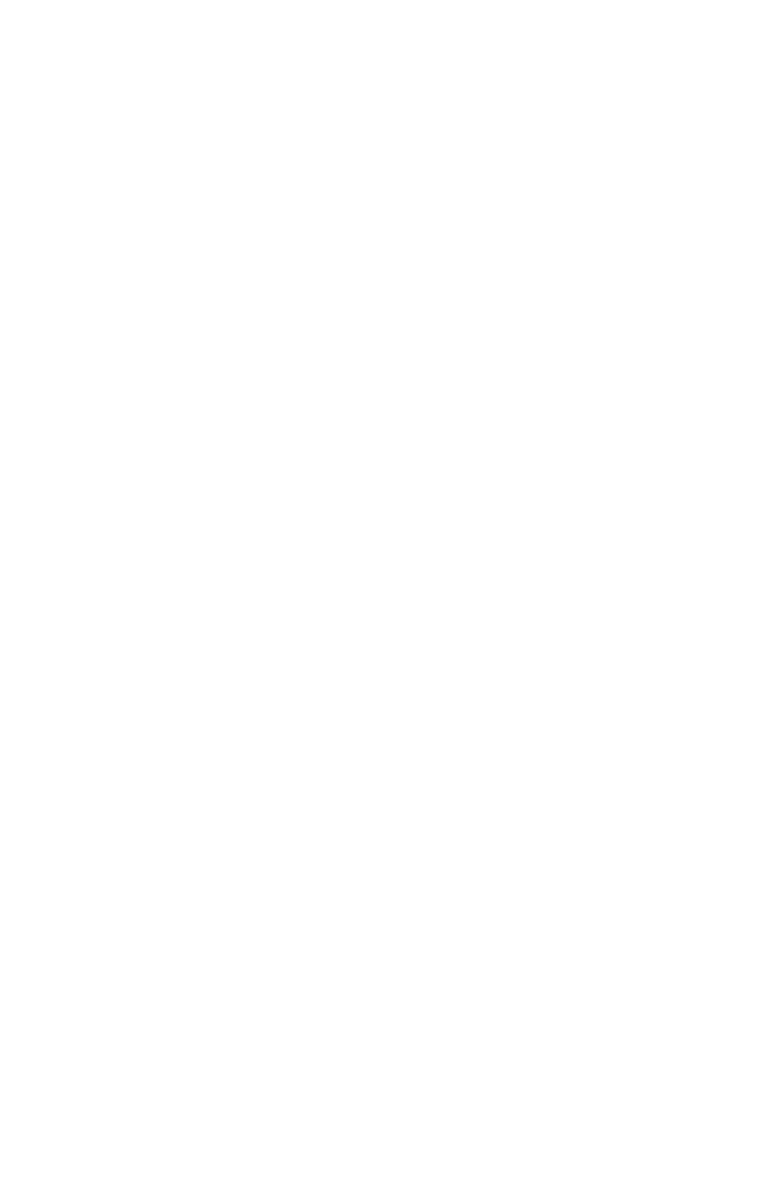 Miami Film Festival
